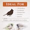 Global Harvest Foods Songbird Selections Wild Bird Seed Wild Bird Food 5 lb 13630 - alternate 6